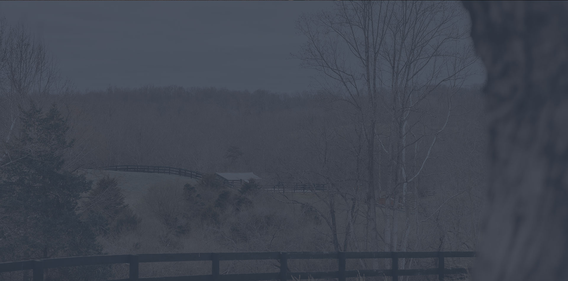 landscape of farm tinted blue