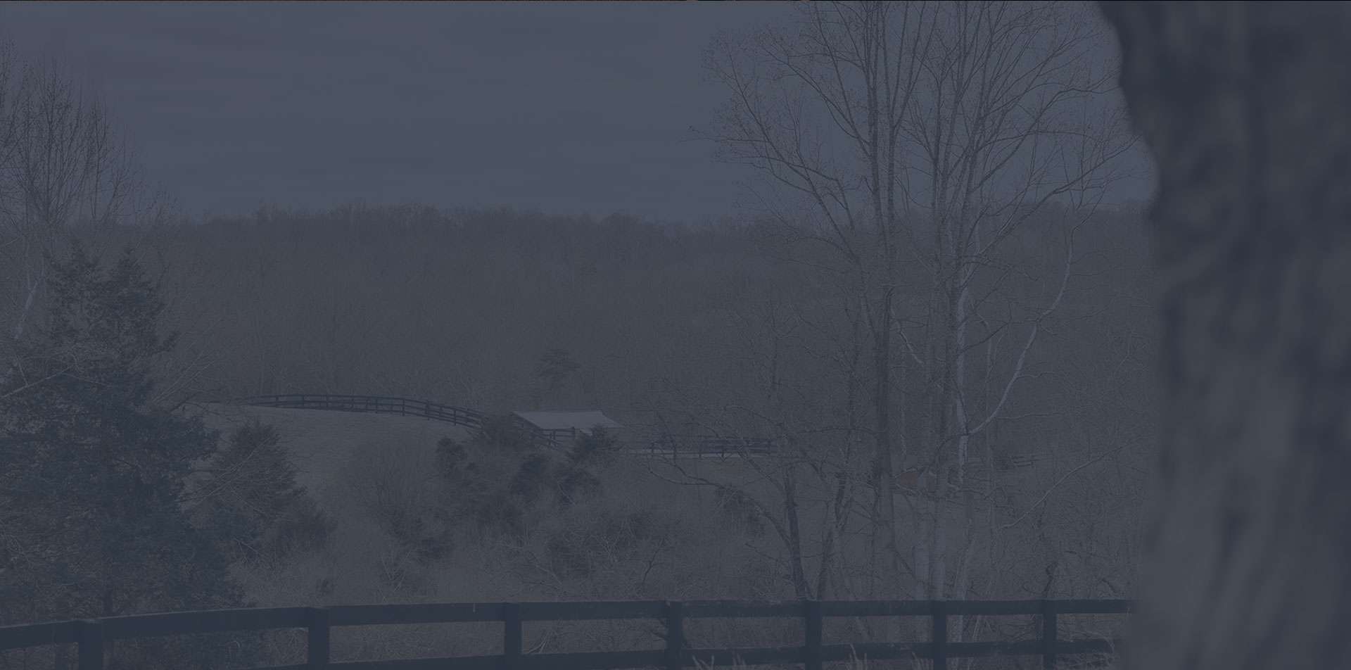 landscape of farm tinted blue