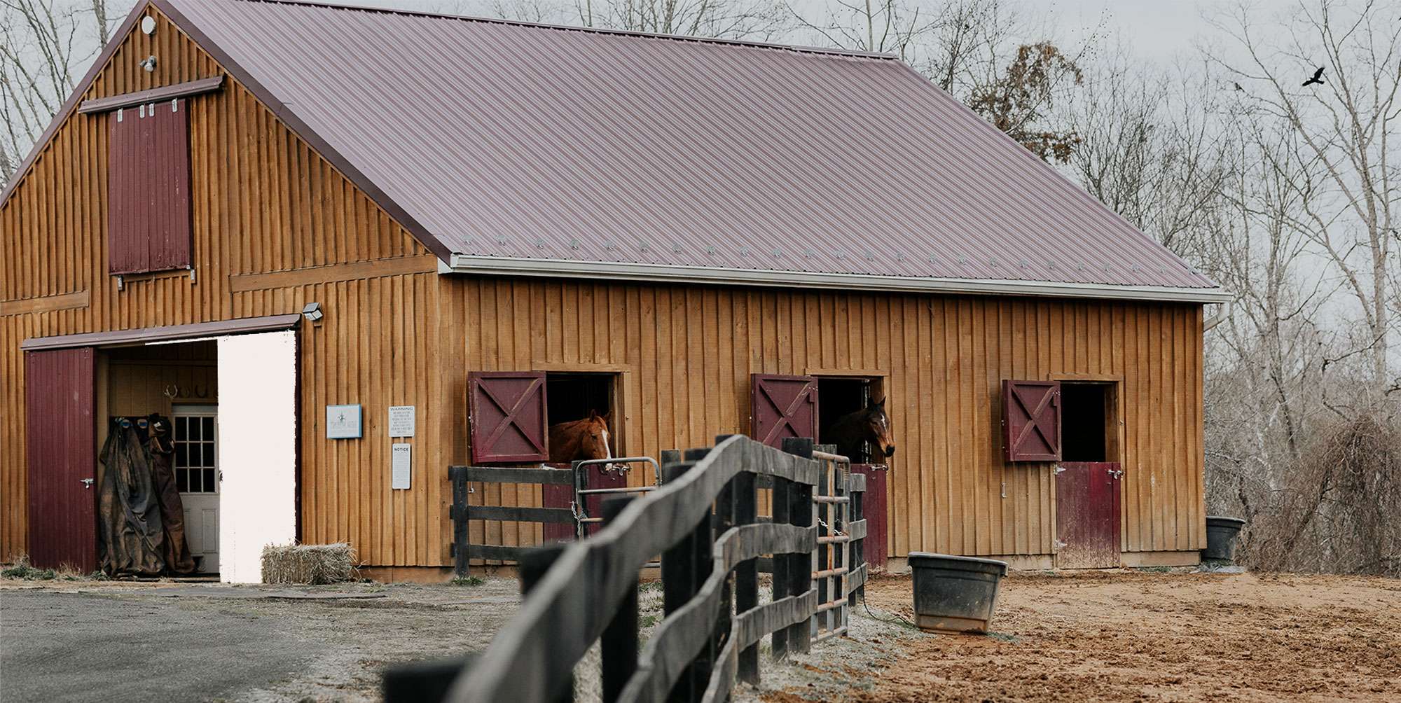 close up image of True North owner petting a horse